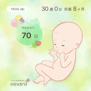 妊娠30週